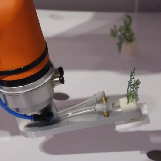 Automating farming of strawberries 