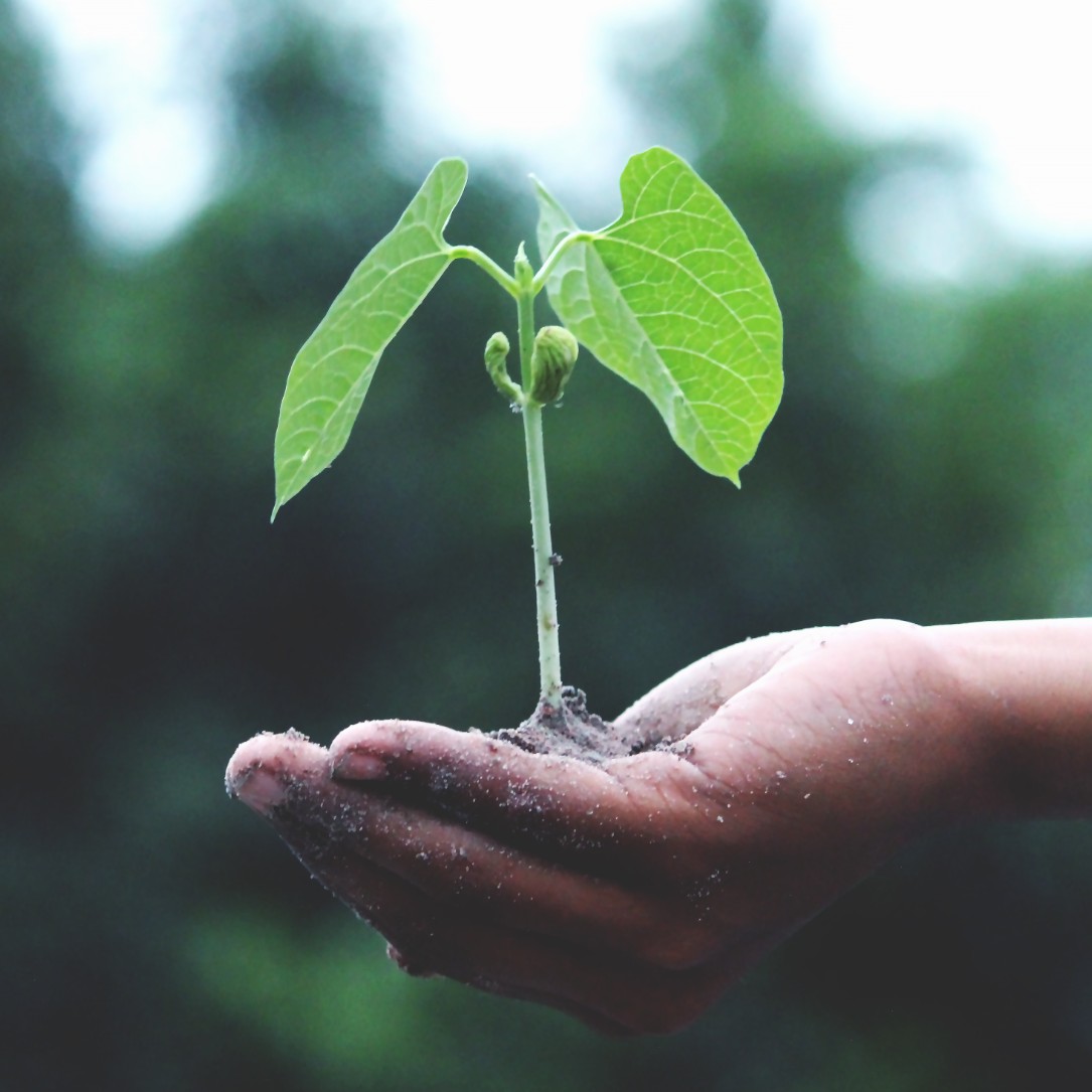 Buiding A Sustainable Business