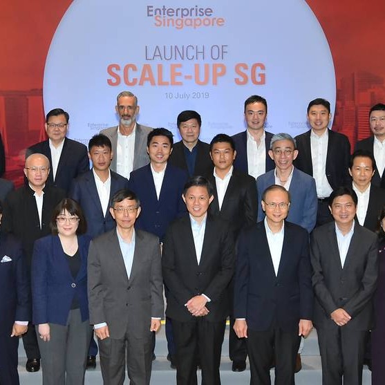 Scale-up SG